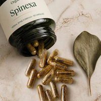 Spinexa™ Herbal Spine Relief – Natural Herbal Formula for Back & Spine Support
